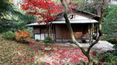 Des maisons japonaises du XIXe siècle restaurées