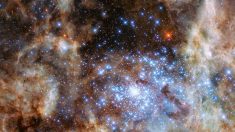 Hubble repère un amas d’étoiles gigantesques