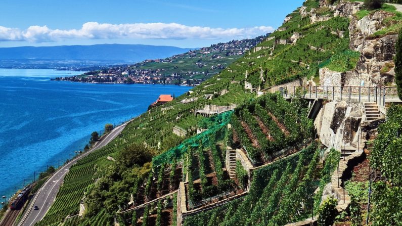 Avec 800 hectares de vignes, les terrasses du Lavaux sont le plus grand vignoble d’un seul tenant de Suisse et offrent une vue extraordinaire depuis chaque terrasse surplombant le lac. (Charles Mahaux)
