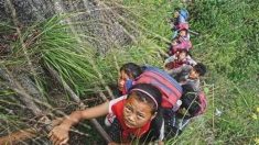 Des écoliers d’un village reculé de Chine doivent gravir une falaise de 800 mètres pour aller à l’école