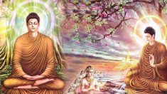 Sur le chemin de la bouddhéité – L’histoire du Bouddha Shâkyamuni