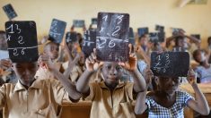 Côte d’Ivoire : la scolarisation peut-elle lutter contre le travail forcé des enfants ?