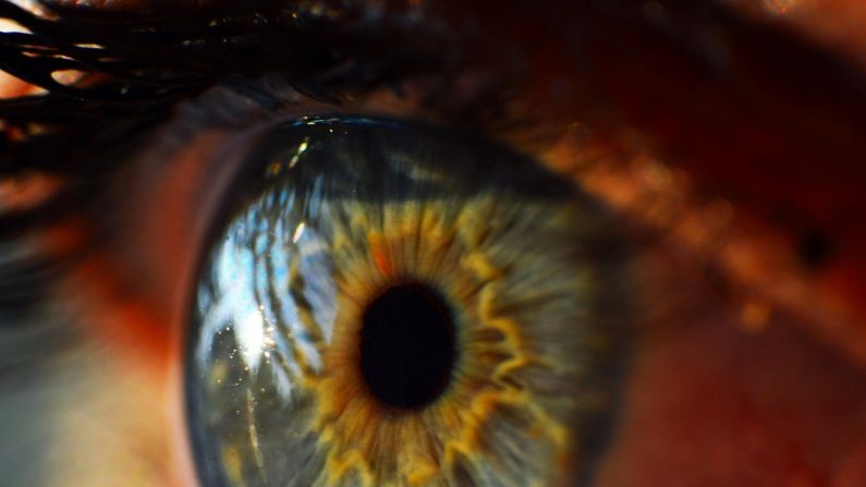 La gymnastique des yeux peut aider à restaurer la vue et prévenir les problèmes futurs dans la plupart des cas. (pixabay)