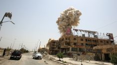 Daech en régression après sa défaite à Fallujah