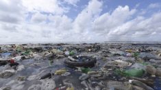 Ces petits morceaux de plastique dans nos océans, un danger pour l’humanité
