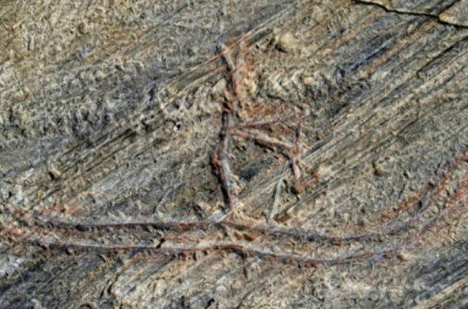Le rocher présentant un skieur gravé il y a 5 000 ans, avant qu'il ne soit endommagé, à Tro, Norvège. (Site internet de Nordland Fylkeskommune)