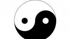 Équilibrer votre régime au travers du Yin et du Yang