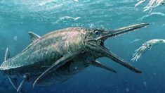 Un « monstre marin » écossais de 164 millions d’années