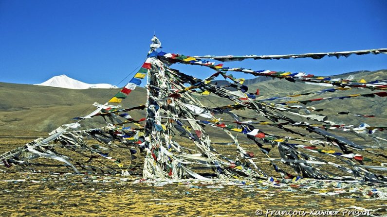 Drapeaux de prières dans les montagnes de l'Himalaya, Tibet. (François-Xavier PRÉVOT)