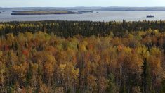 L’Abitibi-Témiscamingue, le Far West du Québec