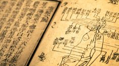 Les treize branches de l’ancienne médecine chinoise