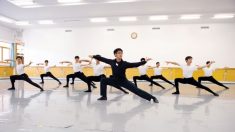 Le collège Fei Tian est autorisé à délivrer un diplôme d’études supérieures en danse classique chinoise