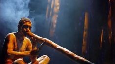 Le didgeridoo – Origines et tabous d’un instrument sacré