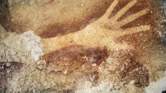 L’art rupestre d’il y a 40 000 ans en Indonésie ressemble étonnamment à celui d’Europe
