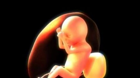 Le fœtus de 30 semaines développe déjà une mémoire à court terme