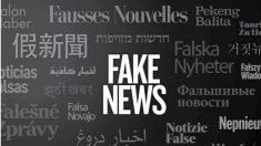 La lutte contre les « fausses nouvelles » se généralise