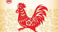 Nouvel an chinois 2017 : l’année du Coq