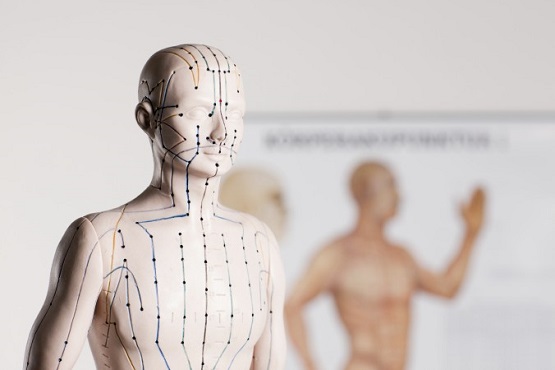 Les points d'acupuncture sur un mannequin. (robstyle / iStock)