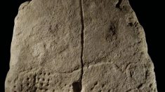 Une poterie vieille de 38 000 ans découverte dans le sud de la France