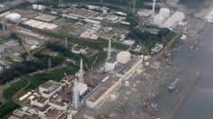 Des niveaux de radiation extrêmement élevés détectés à la centrale nucléaire de Fukushima