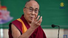 Le Dalaï Lama trouve qu’il y a « trop » ​​de réfugiés en Europe