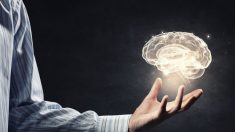 8 façons efficaces pour améliorer son cerveau