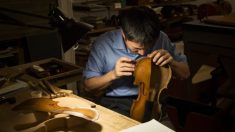 Sauvegarder l’héritage des luthiers
