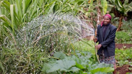 Comment mieux aider les agriculteurs africains à faire face au changement climatique