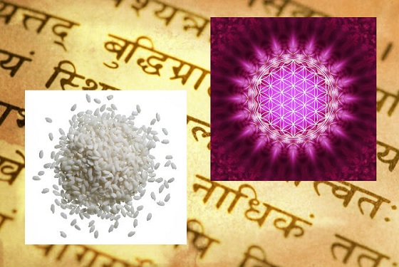 Un texte sanskrit ; du riz ; image conceptuelle de la « fleure de vie ». (Shutterstock /Thinkstock)