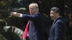 Ce qu’il faut retenir de la rencontre entre Donald Trump et Xi Jinping