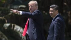 Pékin sur la défensive face à l’imprévisible Donald Trump