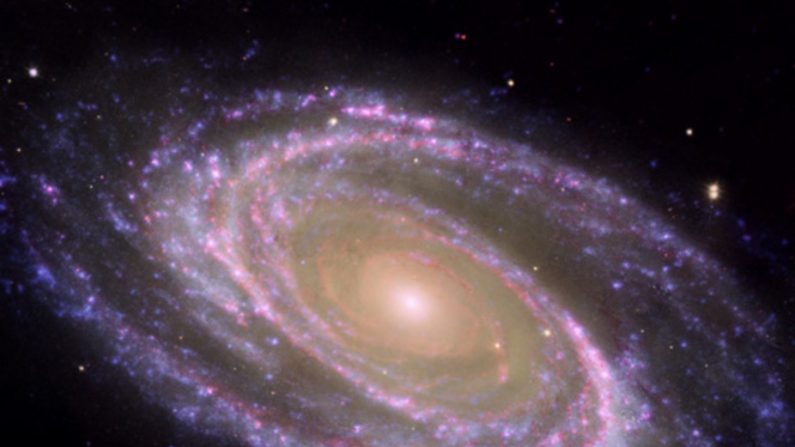Une galaxie spirale proche, observée par les satellites Galex, Hubble et Spitzer de la NASA. NASA/JPL-Caltech/ESA/Harvard-Smithsonian CfA 