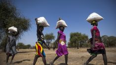 Soudan, Soudan du Sud, Tchad : guerres sans fin, guerriers sans frein