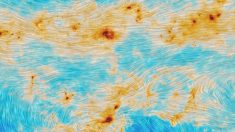 Voyage en galaxies (2) : Planck, la machine à sonder le cosmos