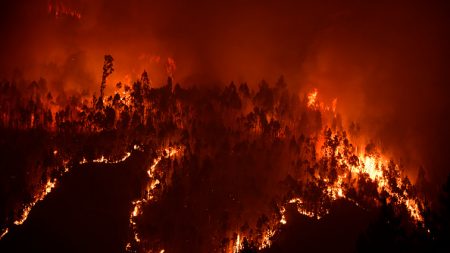 Des psychologues engagés pour soutenir les survivants des incendies mortels au Portugal