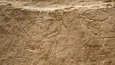 Des archéologues découvrent un des plus anciens hiéroglyphes égyptiens