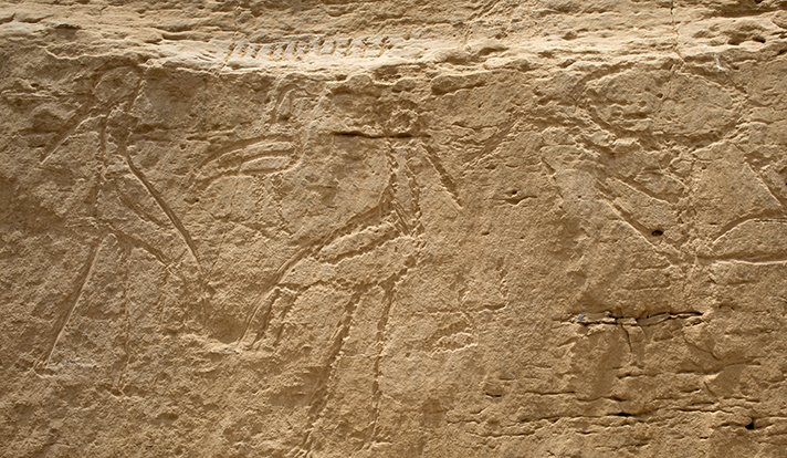 D'énormes hiéroglyphes ont été découverts dans des inscriptions sur la pierre à Elkab. 