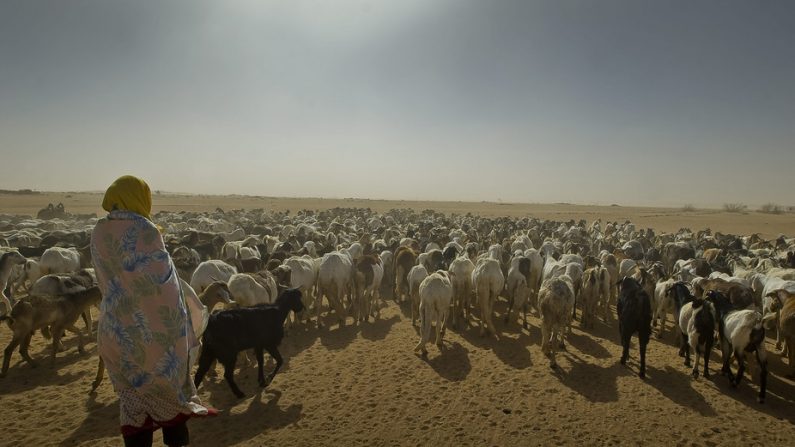 Des réfugiés du Darfour dans l’est du Tchad (2011).
Commission européenne/Flickr, CC BY-SA