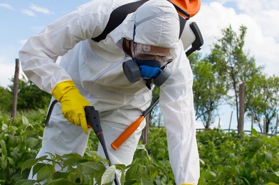 Depuis son introduction en 1971, il est estimé que 9,5 millions de tonnes du produit chimique glyphosate ont été répandues sur les champs autour du monde, selon une étude de 2016. (hedgehog94/shutterstock)
