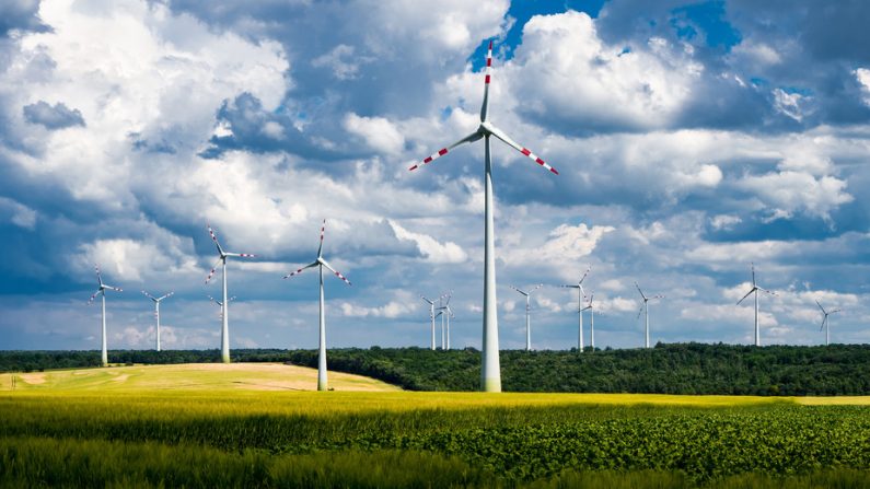 Des éoliennes en Autriche, près de la ville de Mistelbach. (Dimitry Anikin/Flickr, CC BY)