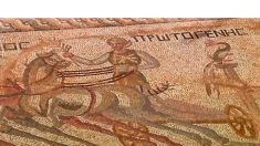 Une ancienne mosaïque de course de chars découverte à Chypre