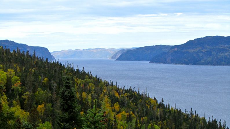 Le fjord du Saguenay (André Auger/Flickr)