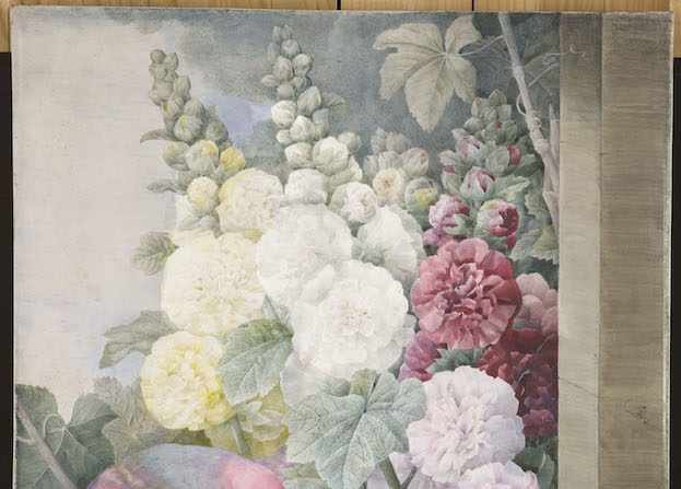     Pierre-Joseph Redouté (1759-1840), Fleurs : roses trémières, raisins et le lori cramoisi, 1836 Paris © RMN-Grand Palais (musée du Louvre) / Michel Urtado /Service presse/ MVR 11.

