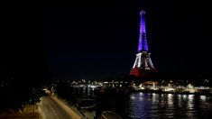 La France ratifie le traité de lutte contre les « combattants terroristes étrangers »