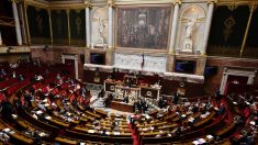 Infirmière poignardée dans les Deux-Sèvres : une députée tente un hommage à l’Assemblée