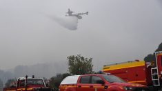 Saint-Pons-de-Mauchiens (Hérault) : 500 hectares partis en fumée