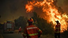 Portugal : plus de 2.000 pompiers toujours mobilisés pour les incendies