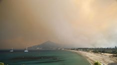 Près de 700 personnes évacuées en Corse en raison d’incendies