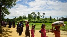 Birmanie : le pape François demande le respect des droits des Rohingyas