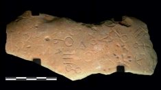 Une pierre avec des inscriptions en plusieurs langues découverte en Espagne intrigue les chercheurs